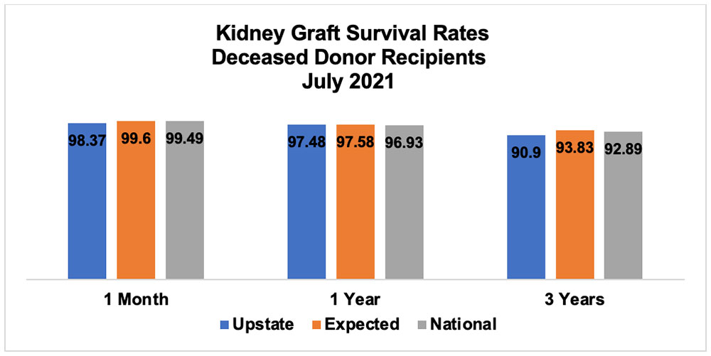 Kidney Graft Survival Rates Deceased Donors