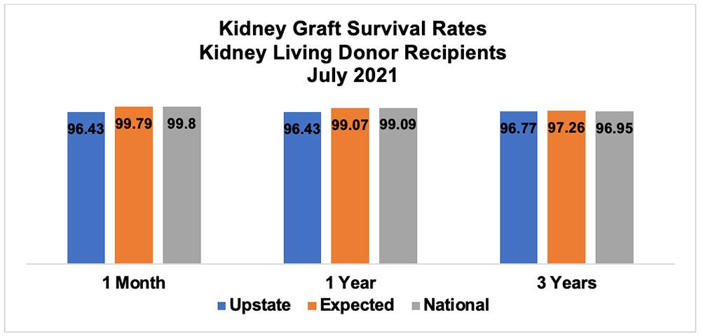 Kidney Graft Survival Rates Kidney Living Donor Recipients