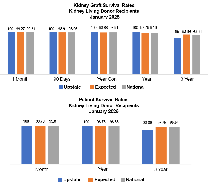 Kidney graphs 
