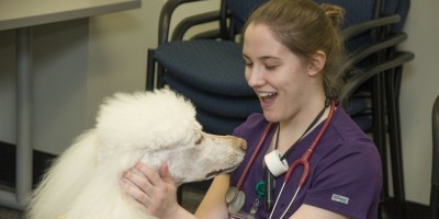 Pet A Pooch (Animal Support)