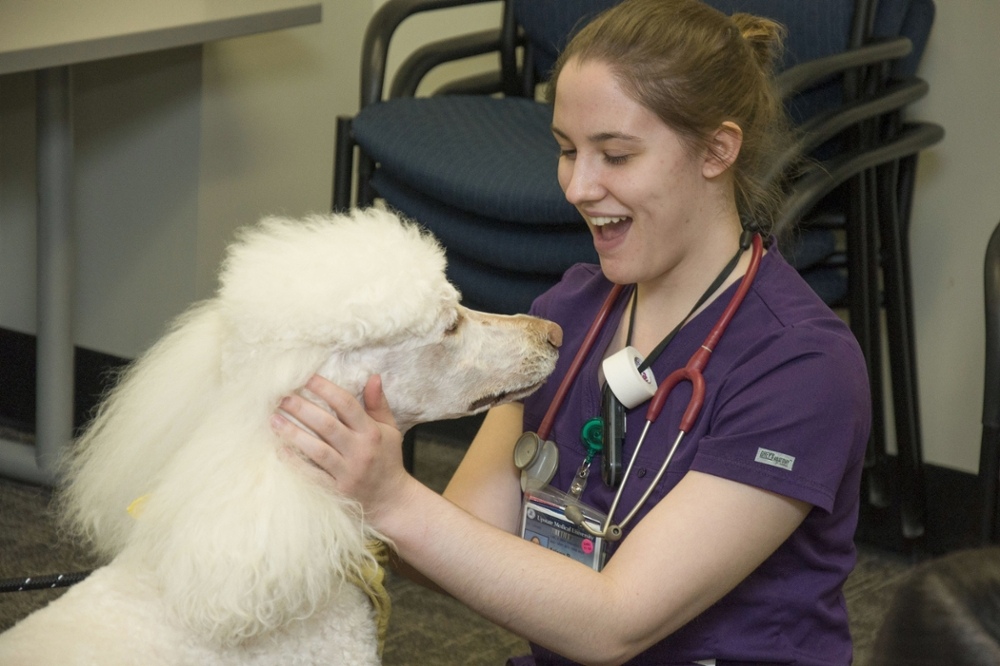 Pet therapy
