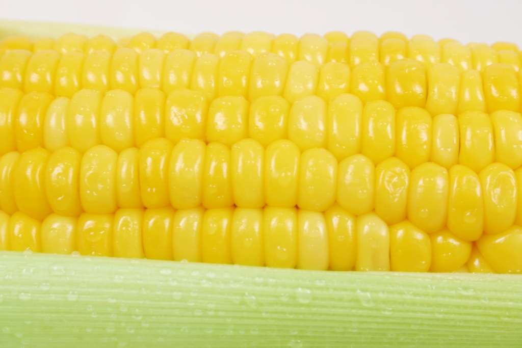 corncob Corn on the cob