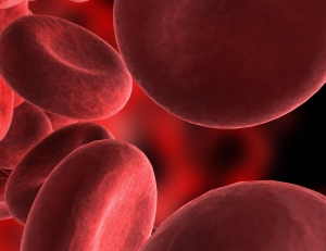 MC900438809 Blood cells
