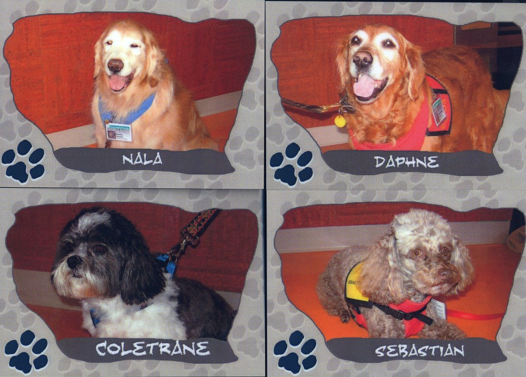 Dogs1 therapy dogs