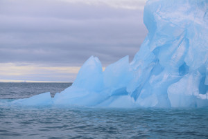 Iceberg Iceberg