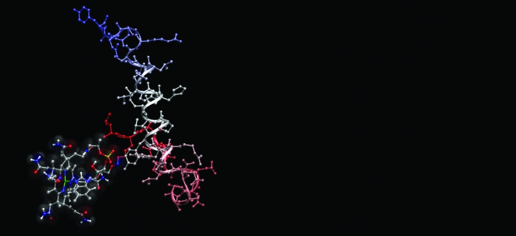 b12_pyy_cpk Molecules