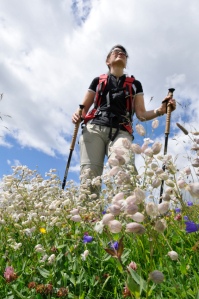 hikingpic hikingpic