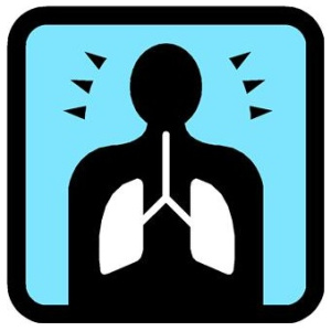 lungs