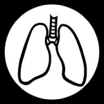 lungs lungs