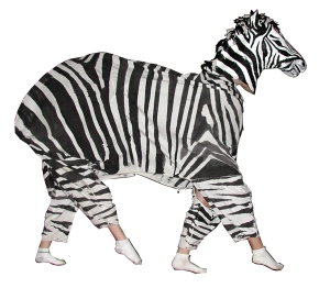 zebra Zebra costume