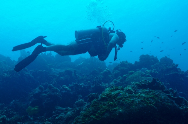 Respiratory therapy student Jason Meany hopes to teach scuba lessons on the Upstate campus.