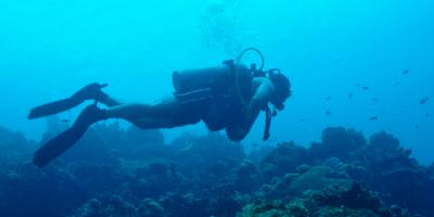 Upstate Leisure: Respiratory therapy student is scuba dive master