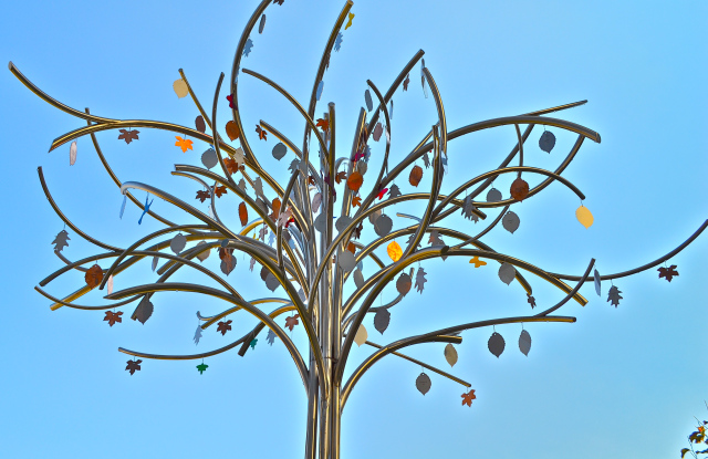 Memorial tree, photographed by Shweta Shreyarthi.