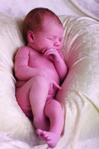 Baby, Photo by Bob Shea