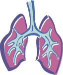 lungs