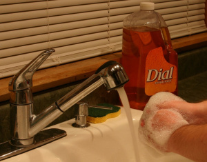 Handwashing photo courtesy of USDA.gov