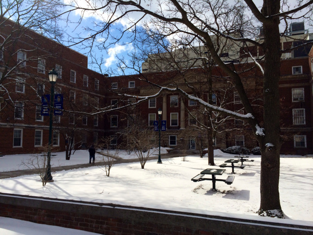 Snow glistens in the courtyard of Weiskotten Hall on Feb. 28. Photo by Susan Cole.