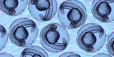 Science is Art is Science: A glimpse of research history
