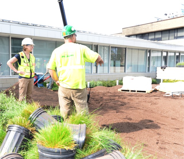 Landscape architect Diane Burkard talks with Martin Cleaver of ProScapes. Photo by William Mueller