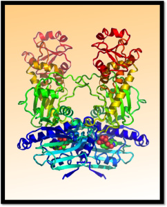 scienceisart