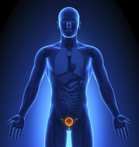 Image from iStockPhoto signifying bladder health