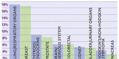 The most prevalent cancers treated at Upstate: lung, breast, thyroid