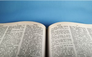 Dictionary
