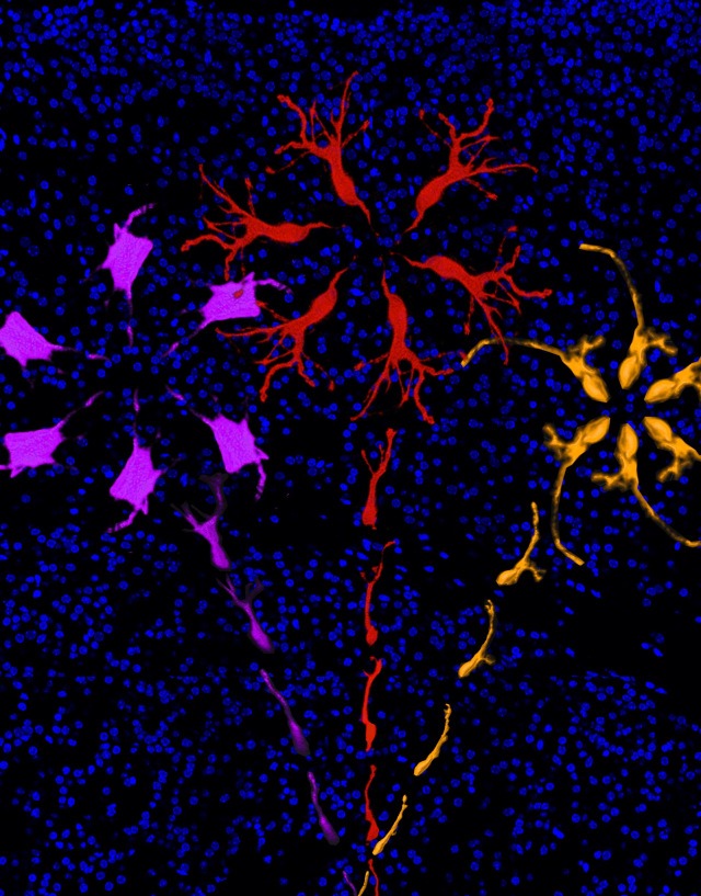 fall science is art