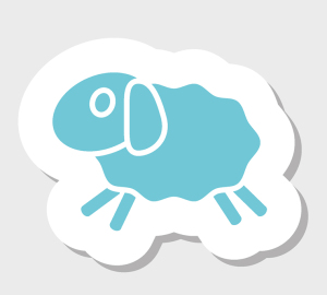 sheep-2