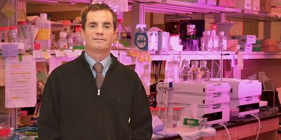 Immune therapy: Training the body’s immune system to kill cancer