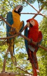 This and the following photos show some of the wildlife on view around the lodge.