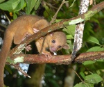 This and the following photos show some of the wildlife on view around the lodge.