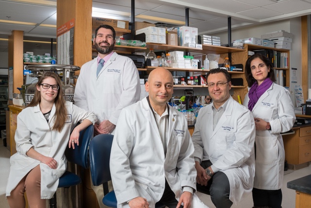 The June issue of the global scientific journal Nature Communications features work by (pictured, from left) graduate student Diana Dunn, research assistant Mark Woodford, biochemist/molecular biologist Mehdi Mollapour, PhD, urologist Gennady Bratslavsky, MD, and assistant professor Dimitra Bourboulia, PhD. The research team also includes professor Stewart Loh, PhD, graduate student Adam Blanden and librarian Wendi Ackerman. (PHOTO BY ROBERT MESCAVAGE)