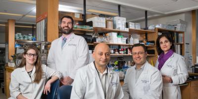 Revealing research: Kidney tumor analysis helps decipher proteins’ role in cancer development