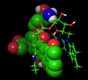 In this model, doxorubicin is represented by spheres and vitamin B2 is indicated by interlocking sticks. (FROM THE LAB OF JUNTAO LUO, PhD)