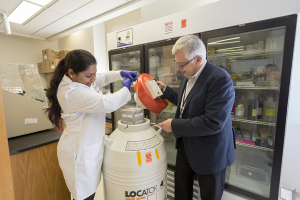 Disharee Das, left, a doctoral student in biochemistry and molecular biology, puts a cell sample into a liquid nitrogen tank with help from her mentor, Kotula. (PHOTO BY WILLIAM MUELLER)