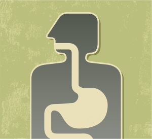 digestive system diagram