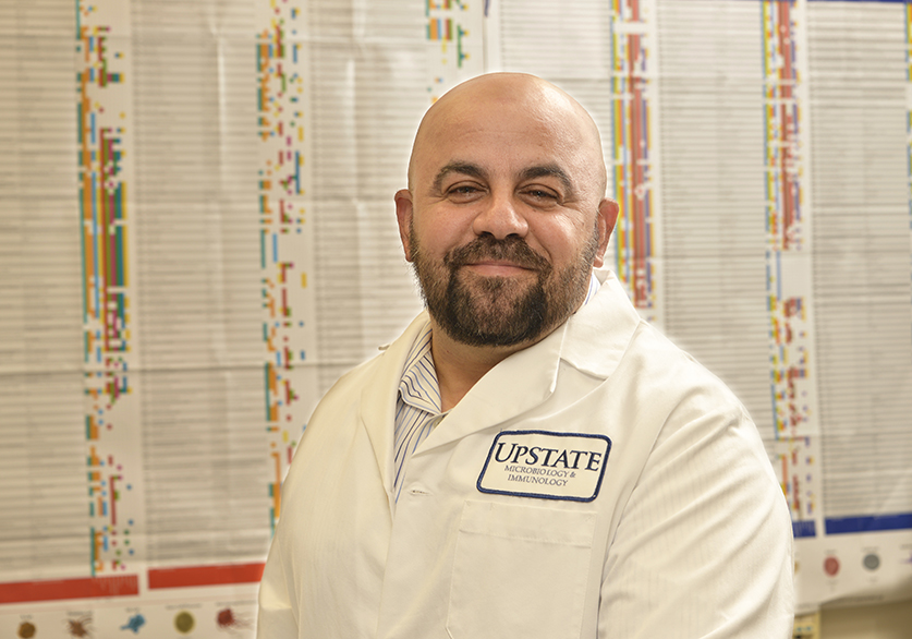 Immunologist Mobin Karimi, MD, PhD, runs a research lab at Upstate. (photo by William Mueller)