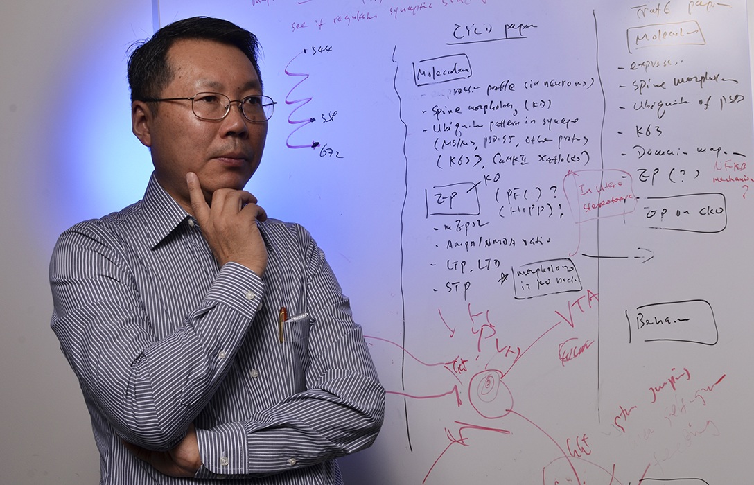 Wei-dong Yao, PhD (photo by Debbie Rexine)