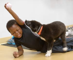 Levi Haddad, 4, plays with a puppy from Pet Partners of CNY at the H.O.P.E. event at the Baldwinsville YMCA. Levi and Alayah (below) are both being treated for acute lymphoblastic leukemia at the Upstate Cancer Center and Upstate Golisano Children‘s Hospital. They became friends at the May event.