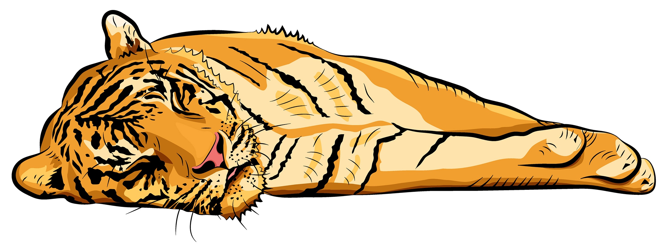 resting tiger