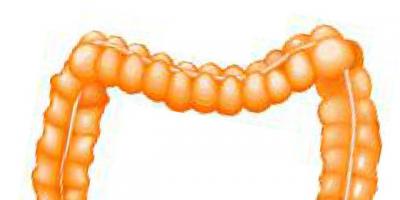 Remove the appendix – or not? Medicine's understanding of the organ has changed