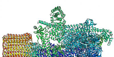 Science Is Art: A close-up look at an enzyme