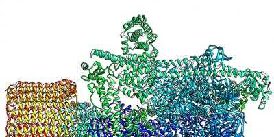 Science Is Art: A close-up look at an enzyme