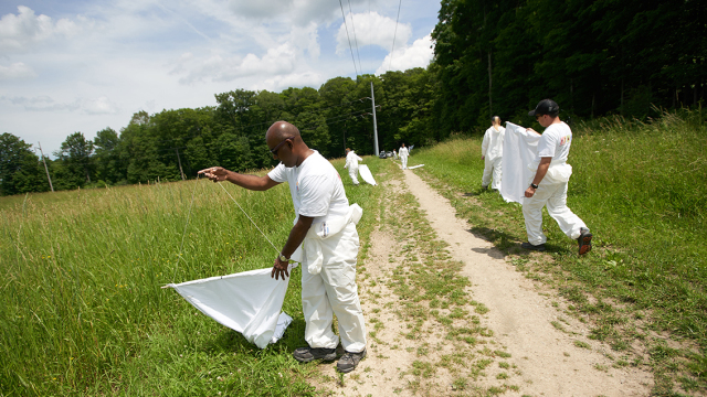 Thangamani and his team collect ticks by dragging white fabric through fields and woods in Green Lakse State Park.