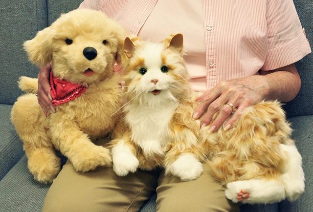 Battery-operated companion dog and cat (photo by Richard Whelsky)