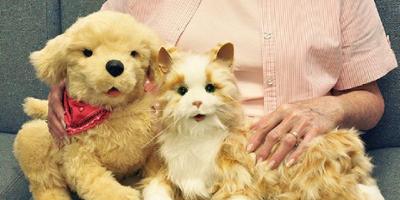 ‘Pets’ for patients