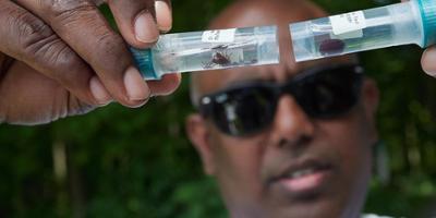 Scientists come to Upstate for in-depth opportunity to study ticks