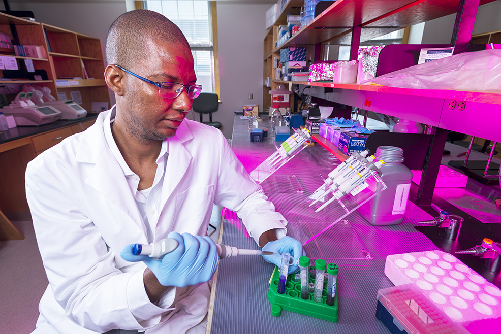 Alaji Bah, PhD, is searching for ways to keep cancer-suppressing genes “turned on”— research that may lead to new medications. (photo by William Mueller)