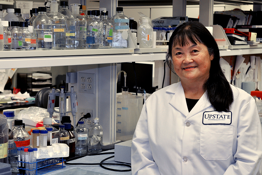 Ying Huang, MD, PhD, is studying a protein that makes breast cancer resistant to chemotherapy. (photo by Richard Whelsky)